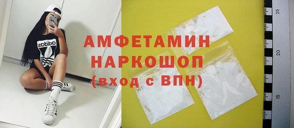 СК Алексин
