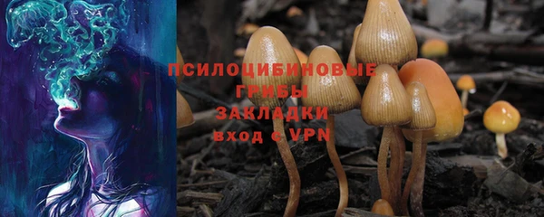 ALPHA-PVP Алексеевка